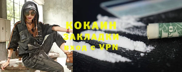 индика Белокуриха