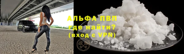 индика Белокуриха