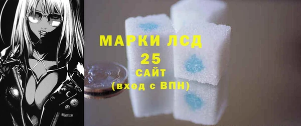 индика Белокуриха