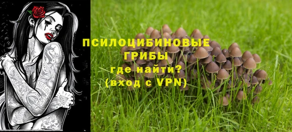 индика Белокуриха