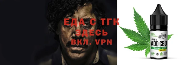 индика Белокуриха