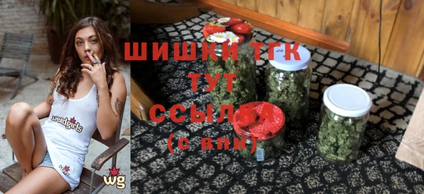 индика Белокуриха