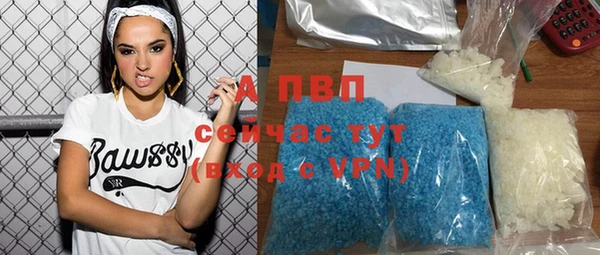 индика Белокуриха