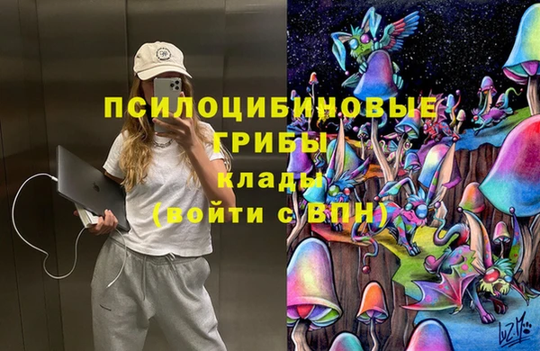 индика Белокуриха