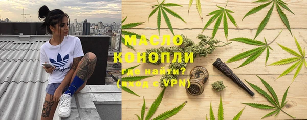 индика Белокуриха