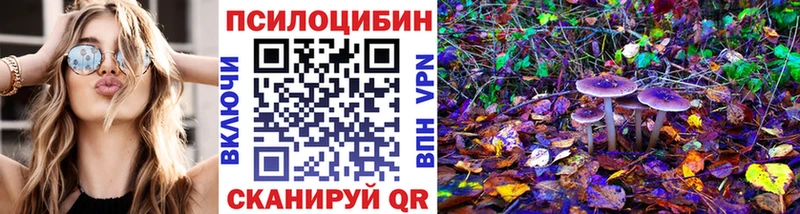 Галлюциногенные грибы мицелий Михайлов